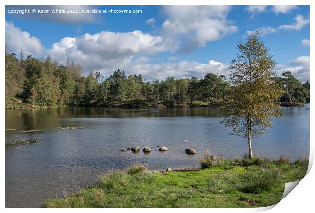 Tarn Hows view from near car park Print by Kevin White