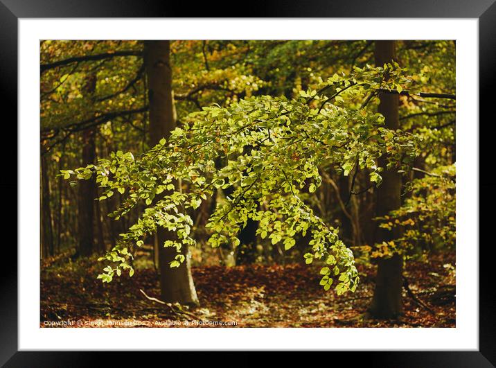 Sunlit Leaves Framed Mounted Print by Simon Johnson