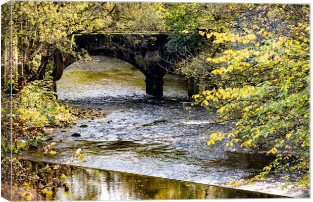 Mayroyd Lane over the Calder Canvas Print by Glen Allen