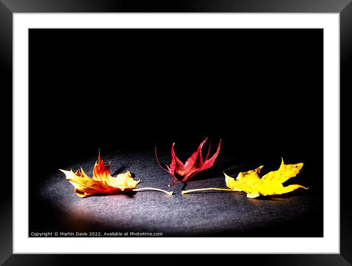 Autumn Spotlight Framed Mounted Print by Martin Davis