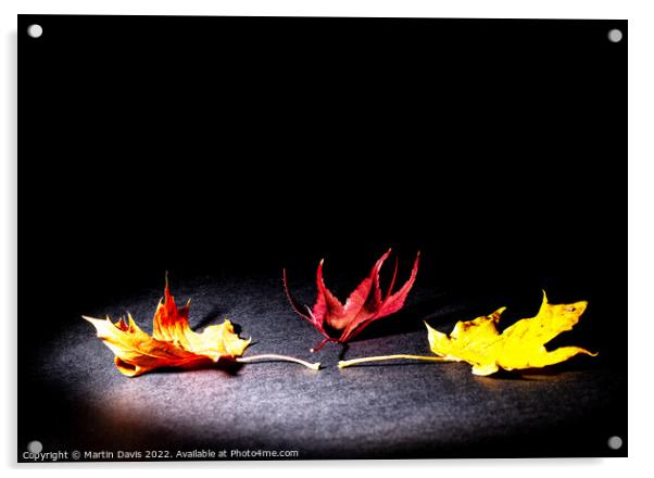 Autumn Spotlight Acrylic by Martin Davis