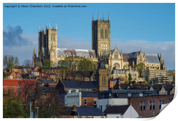 Lincoln Cathedral  Print by Alison Chambers