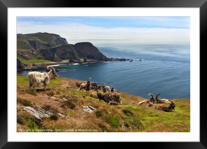 The Oa Nature Reserve, Wild Goats Islay, Scotland Framed Mounted Print by Barbara Jones