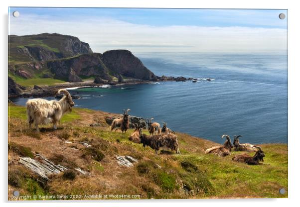 The Oa Nature Reserve, Wild Goats Islay, Scotland Acrylic by Barbara Jones