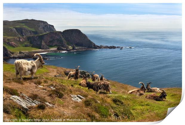 The Oa Nature Reserve, Wild Goats Islay, Scotland Print by Barbara Jones