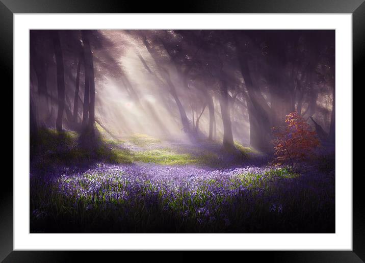 A Bluebell Wood Framed Mounted Print by Picture Wizard