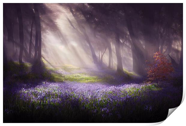 A Bluebell Wood Print by Picture Wizard
