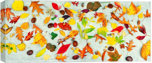Herbarium, collection of autumn leaves Canvas Print by Mykola Lunov Mykola