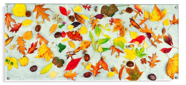 Herbarium, collection of autumn leaves Acrylic by Mykola Lunov Mykola