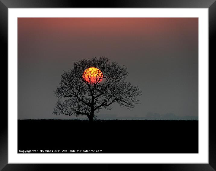 The Lone Tree Framed Mounted Print by Nicky Vines