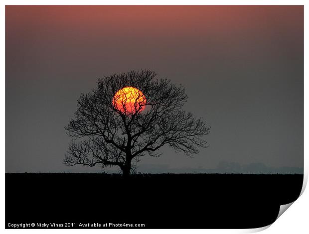 The Lone Tree Print by Nicky Vines