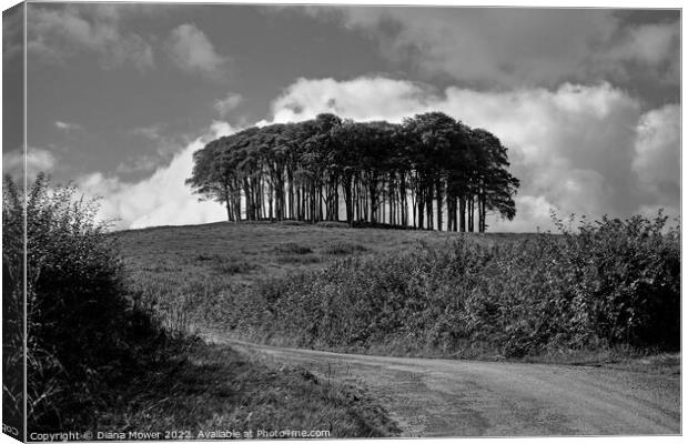  Nearly Home trees monochrome Canvas Print by Diana Mower