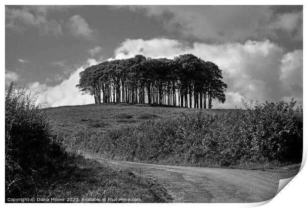  Nearly Home trees monochrome Print by Diana Mower