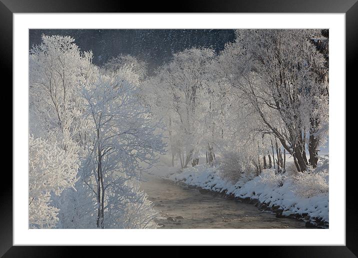 Winter morning Framed Mounted Print by Thomas Schaeffer