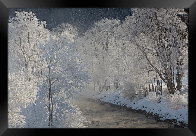 Winter morning Framed Print by Thomas Schaeffer