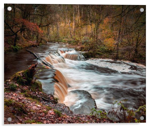 The Avon Pryddin Acrylic by Leighton Collins