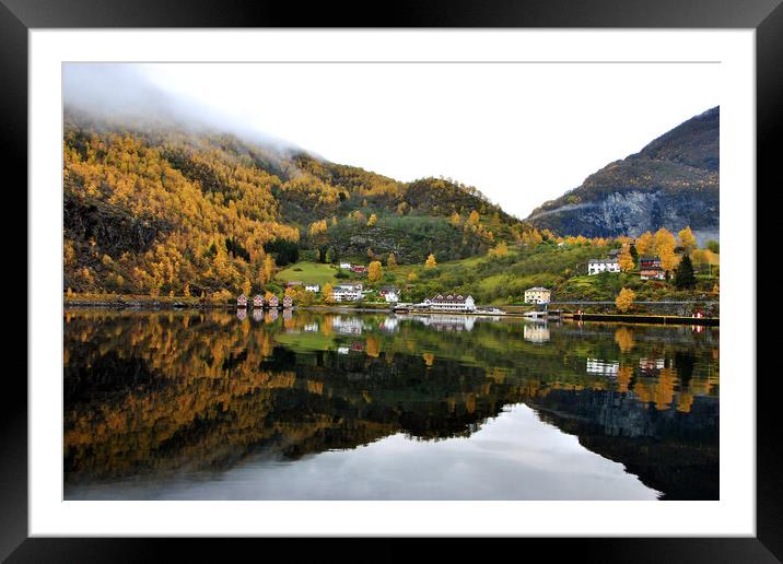 Autumn Trees Flam Aurlandsfjord Norway Framed Mounted Print by Andy Evans Photos