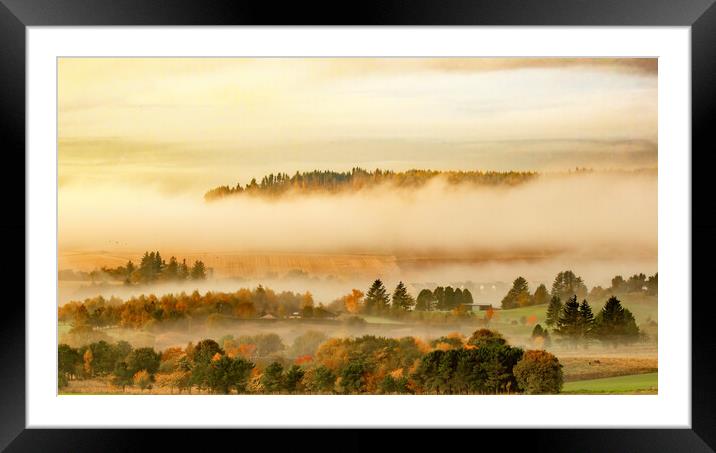 Golden Autumn Mystery Framed Mounted Print by DAVID FRANCIS