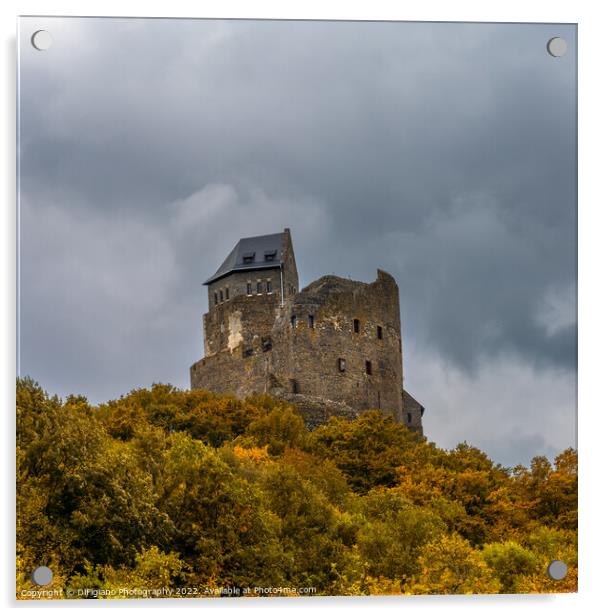 Holloko Castle Acrylic by DiFigiano Photography