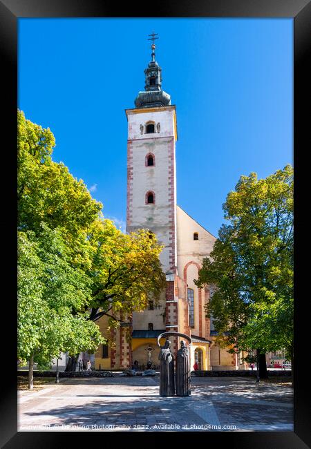 Church of the Assumption Framed Print by DiFigiano Photography