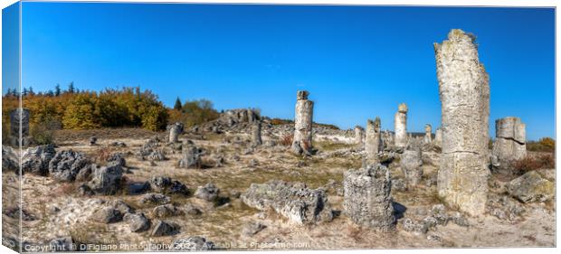 Pobiti Kamani Stone Forest Canvas Print by DiFigiano Photography