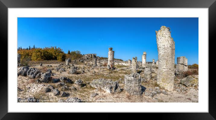 Pobiti Kamani Stone Forest Framed Mounted Print by DiFigiano Photography