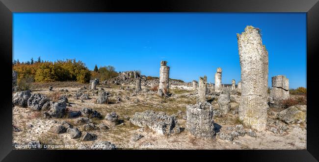 Pobiti Kamani Stone Forest Framed Print by DiFigiano Photography