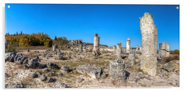 Pobiti Kamani Stone Forest Acrylic by DiFigiano Photography