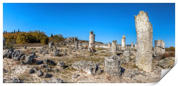 Pobiti Kamani Stone Forest Print by DiFigiano Photography