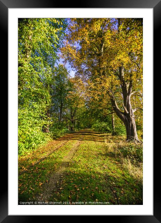 Autumn colours along a path through the woodland. Framed Mounted Print by Michael Shannon