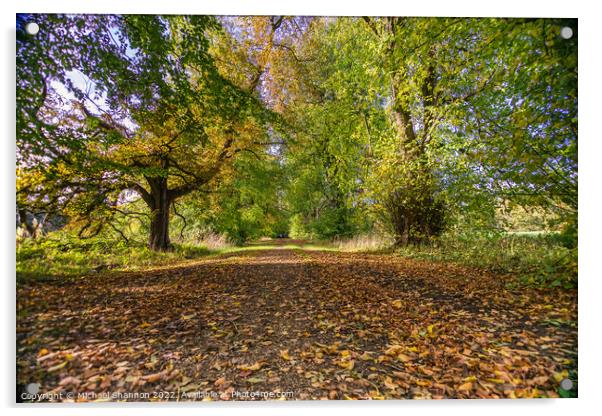 Woodland Walk in Autumn along a tree lined avenue Acrylic by Michael Shannon