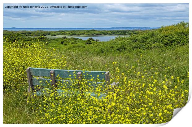 Looking Down onto Kenfig Pool South Wales Print by Nick Jenkins
