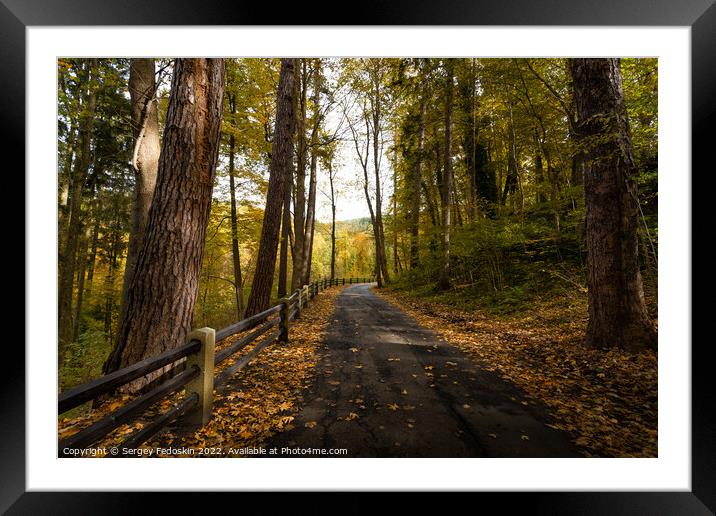 Road in South Bohemian forest in Czechia in autumn season. Framed Mounted Print by Sergey Fedoskin