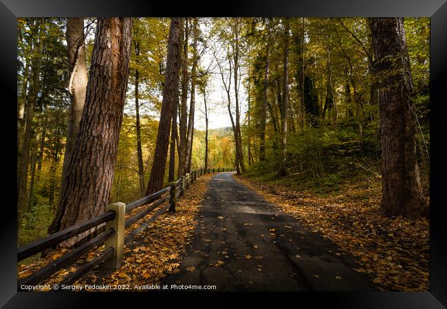 Road in South Bohemian forest in Czechia in autumn season. Framed Print by Sergey Fedoskin