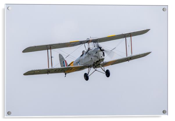 de Havilland DH82 Tiger Moth Acrylic by J Biggadike