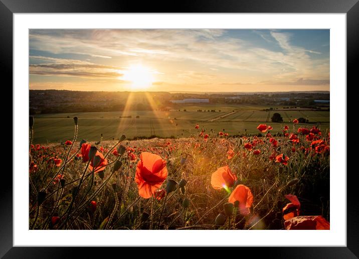 Poppies at Sunset Framed Mounted Print by J Biggadike
