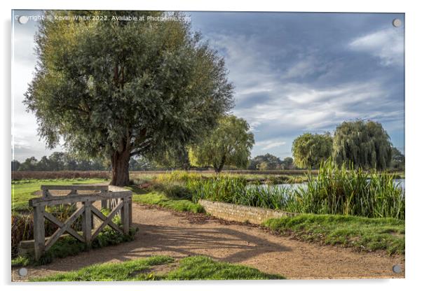 Circular walk around Bushy Park ponds Acrylic by Kevin White