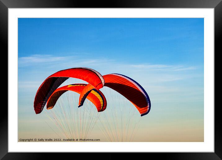 Hang Gliders Framed Mounted Print by Sally Wallis