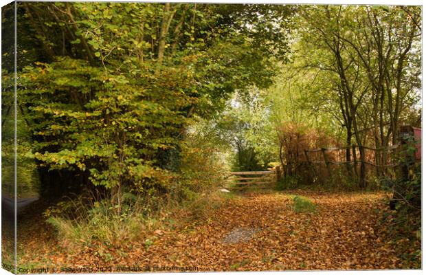 Gate and autumn coloured leaves Canvas Print by Sally Wallis