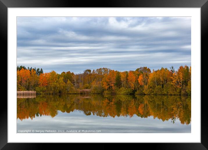 Forest lake in cloudy, autumn weather. Late fall. Europe. Framed Mounted Print by Sergey Fedoskin