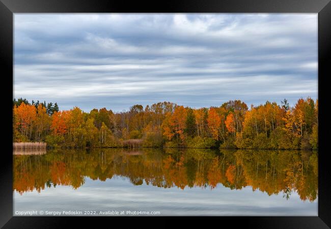 Forest lake in cloudy, autumn weather. Late fall. Europe. Framed Print by Sergey Fedoskin