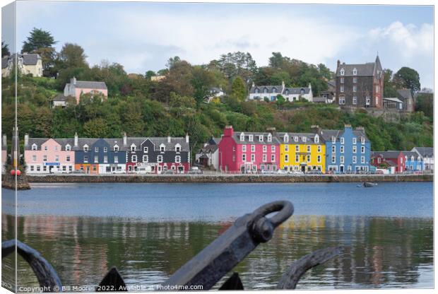 Tobermory Canvas Print by Bill Moores