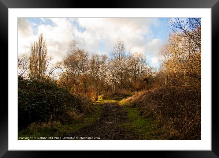 Wandle Meadow Nature Park during Winter Framed Mounted Print by Nathan Still