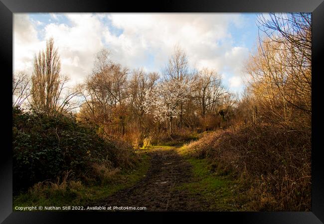 Wandle Meadow Nature Park during Winter Framed Print by Nathan Still