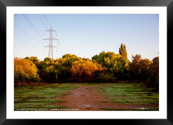 Wandle Meadow Nature Park During Sunrise/Golden Hour Framed Mounted Print by Nathan Still