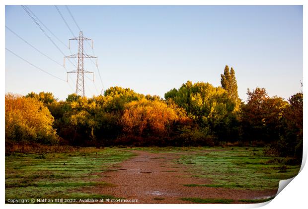 Wandle Meadow Nature Park During Sunrise/Golden Hour Print by Nathan Still