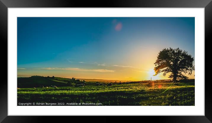 Sunset Over Ellerhayes Framed Mounted Print by Adrian Burgess