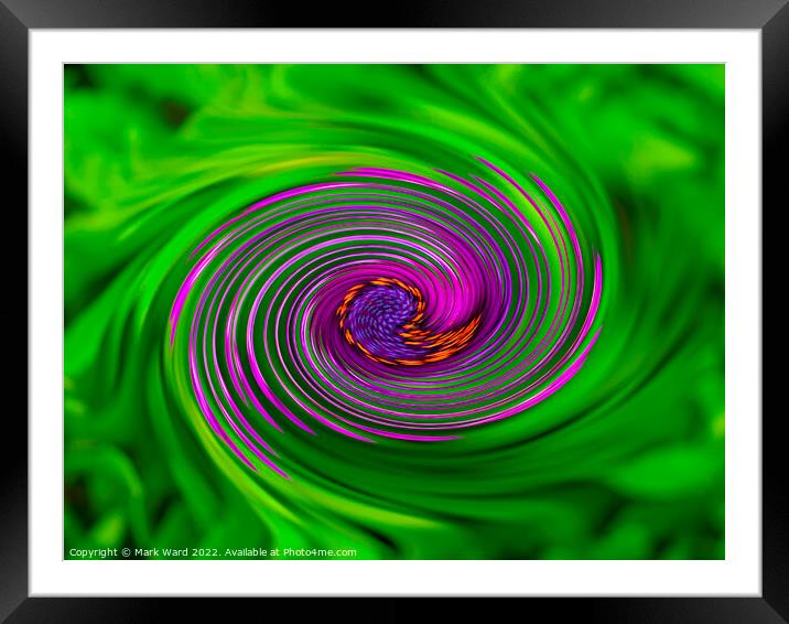 Floral Maze Framed Mounted Print by Mark Ward