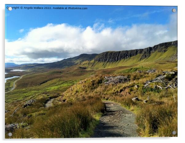 Views across Skye Acrylic by Angela Wallace