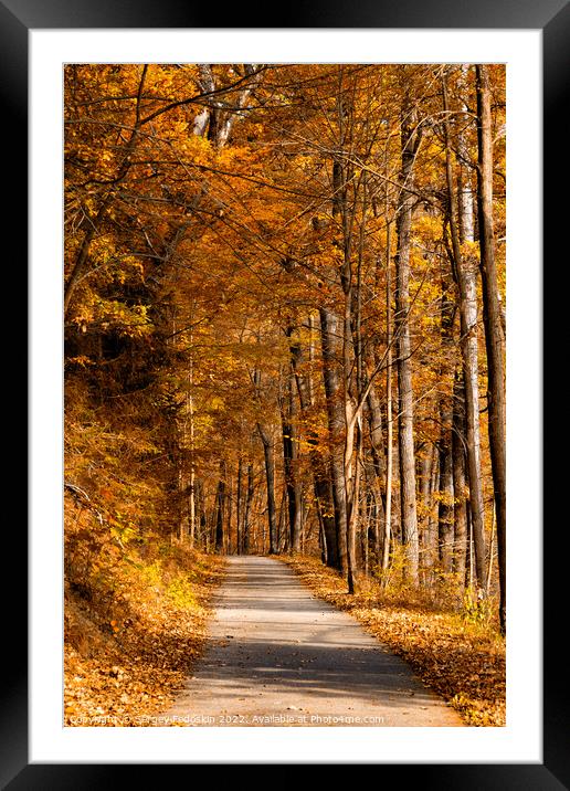 Road in the autumn forest. Framed Mounted Print by Sergey Fedoskin